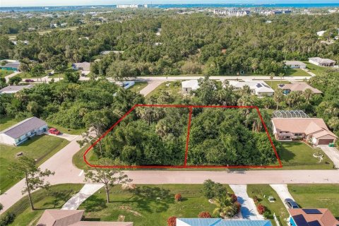 Land in Punta Gorda, Florida № 2158913 - photo 9