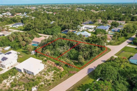 Land in Punta Gorda, Florida № 2158913 - photo 4