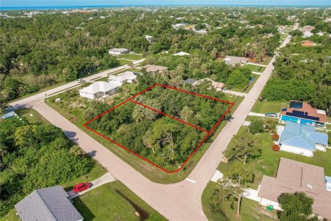 Land in Punta Gorda, Florida № 2158913 - photo 2