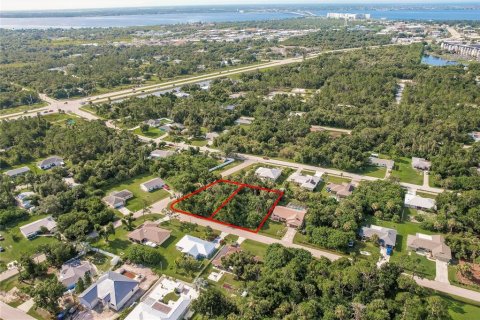 Land in Punta Gorda, Florida № 2158913 - photo 11