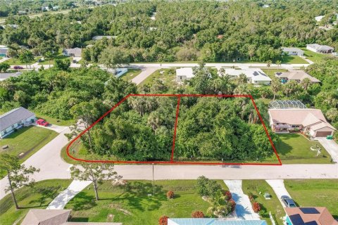 Terrain à Punta Gorda, Floride № 2158913