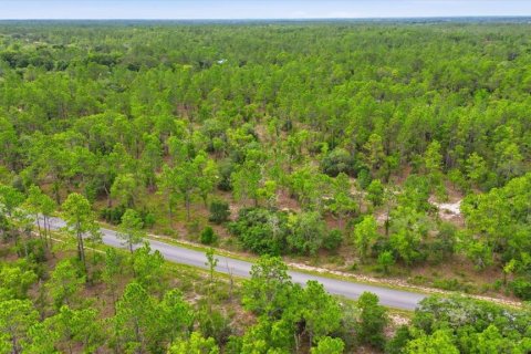 Land in Dunnellon, Florida № 2196721 - photo 5