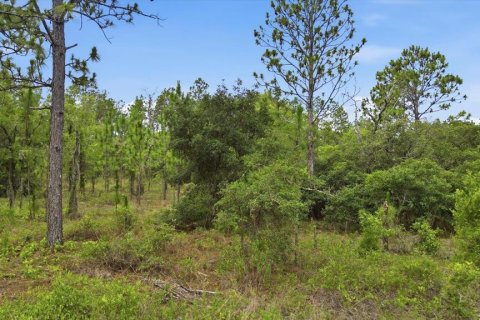Land in Dunnellon, Florida № 2196721 - photo 2