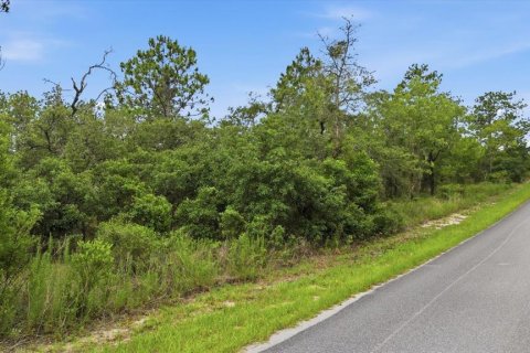 Land in Dunnellon, Florida № 2196721 - photo 3