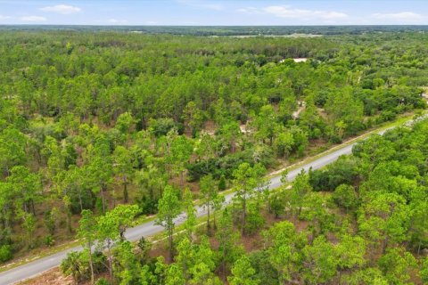 Land in Dunnellon, Florida № 2196721 - photo 4