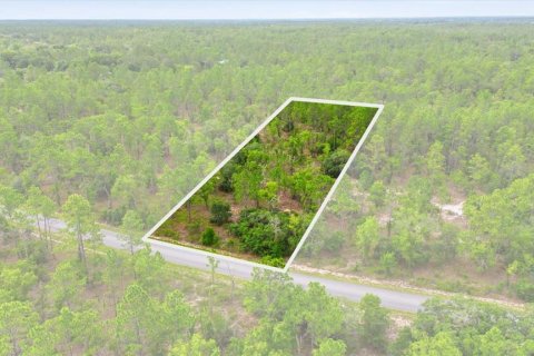 Land in Dunnellon, Florida № 2196721