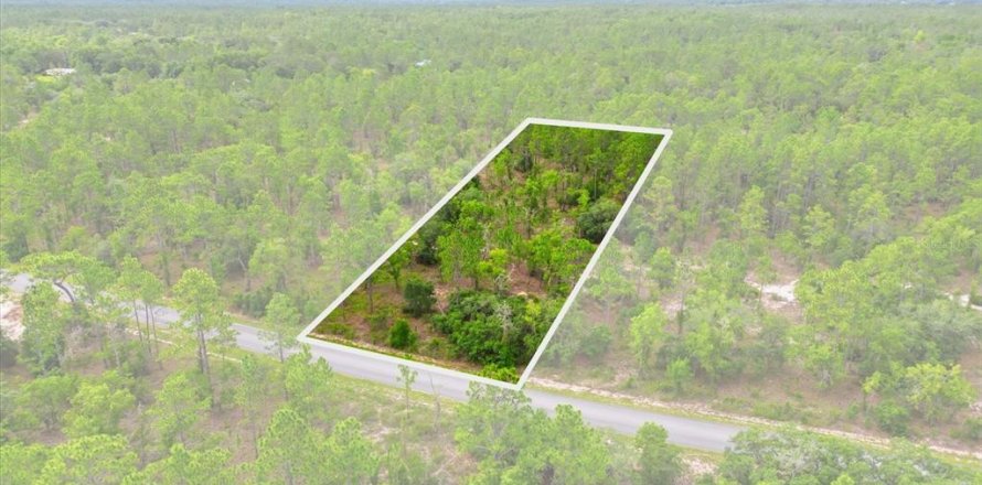 Land in Dunnellon, Florida № 2196721