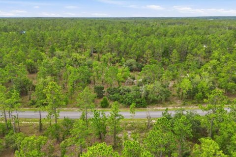 Land in Dunnellon, Florida № 2196721 - photo 6
