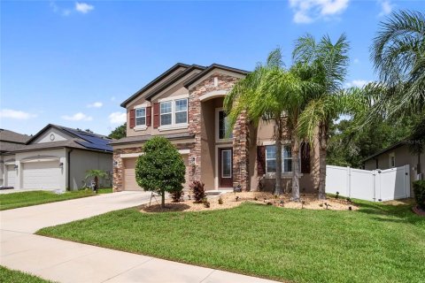 House in Riverview, Florida 5 bedrooms, 331.29 sq.m. № 2223106