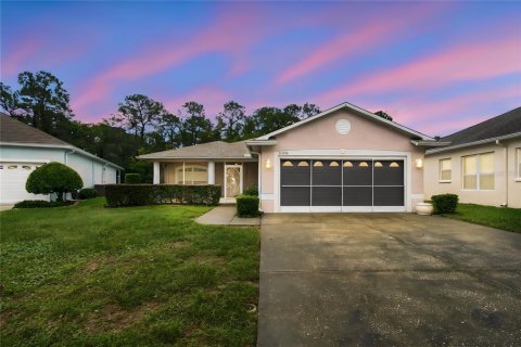 Villa ou maison à New Port Richey, Floride 3 chambres, 151.62 m2 № 2413937