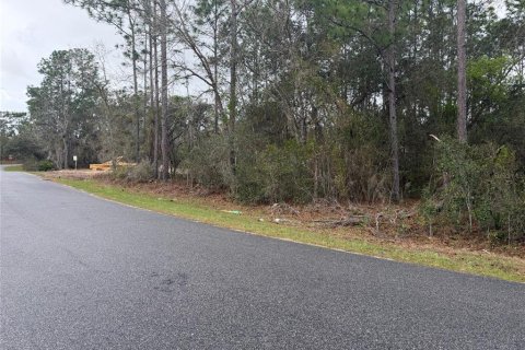 Land in Ocala, Florida № 2164697 - photo 2