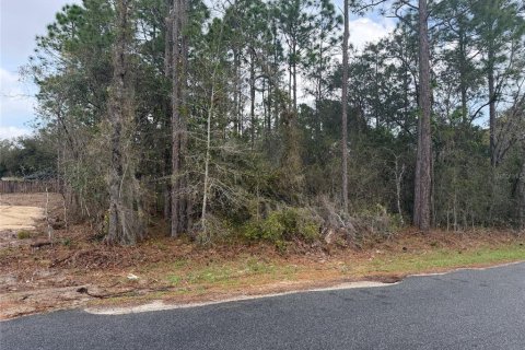 Land in Ocala, Florida № 2164697 - photo 3