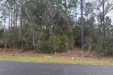 Land in Ocala, Florida № 2164697