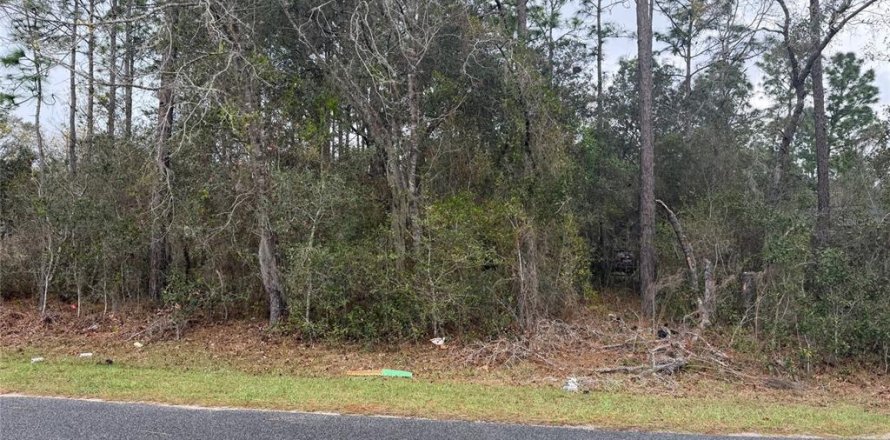 Land in Ocala, Florida № 2164697