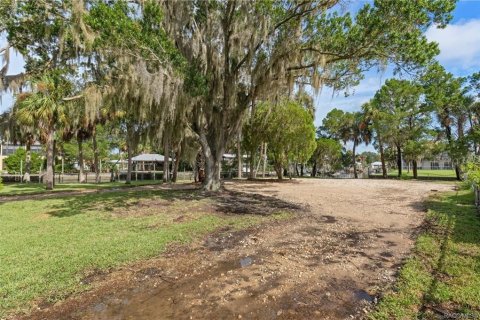 Land in Crystal River, Florida № 1883972 - photo 20