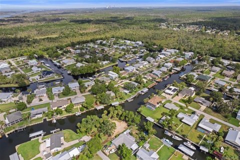 Land in Crystal River, Florida № 1883972 - photo 8