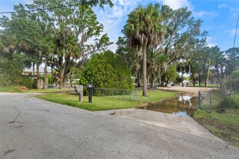 Land in Crystal River, Florida № 1883972 - photo 13