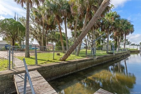 Land in Crystal River, Florida № 1883972 - photo 19