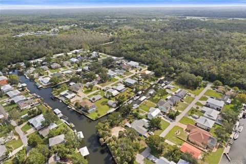 Land in Crystal River, Florida № 1883972 - photo 10