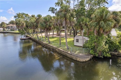 Land in Crystal River, Florida № 1883972 - photo 12