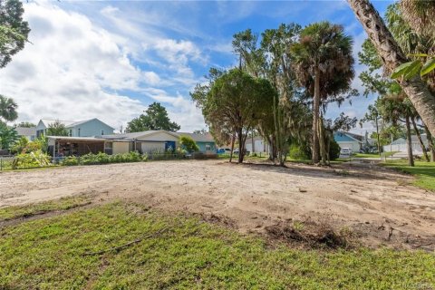 Land in Crystal River, Florida № 1883972 - photo 16