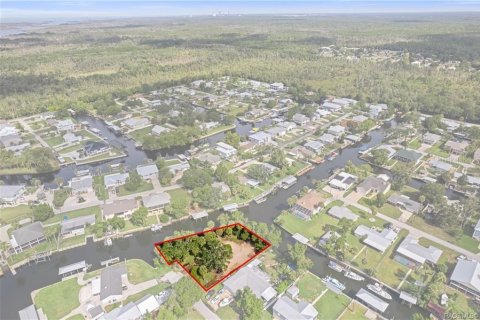 Land in Crystal River, Florida № 1883972 - photo 9