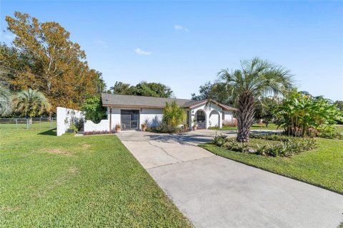 Casa en venta en Summerfield, Florida, 5 dormitorios, 197.7 m2 № 2095585 - foto 6