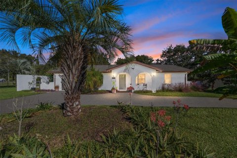 Casa en venta en Summerfield, Florida, 5 dormitorios, 197.7 m2 № 2095585 - foto 2