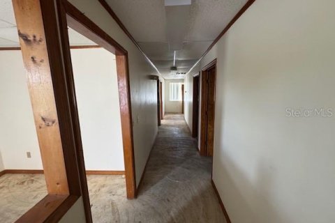 Immobilier commercial à louer à New Port Richey, Floride: 95.97 m2 № 1835308 - photo 7