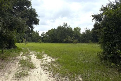Land in Apopka, Florida № 2275514 - photo 5