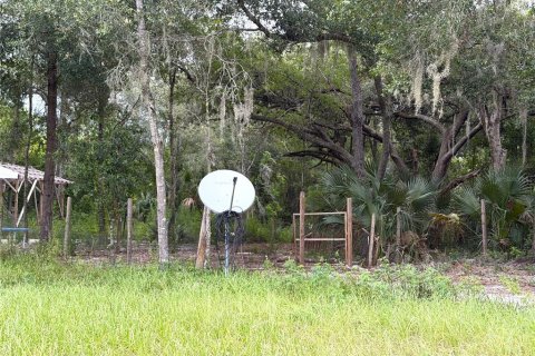 Land in Apopka, Florida № 2275514 - photo 8
