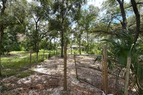 Land in Apopka, Florida № 2275514 - photo 7