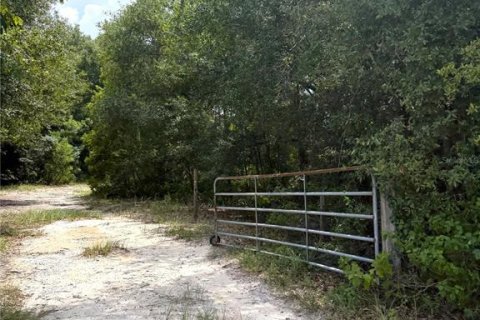 Land in Apopka, Florida № 2275514 - photo 4
