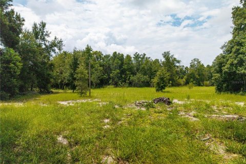 Land in Apopka, Florida № 2275514 - photo 11