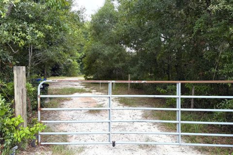 Land in Apopka, Florida № 2275514 - photo 3