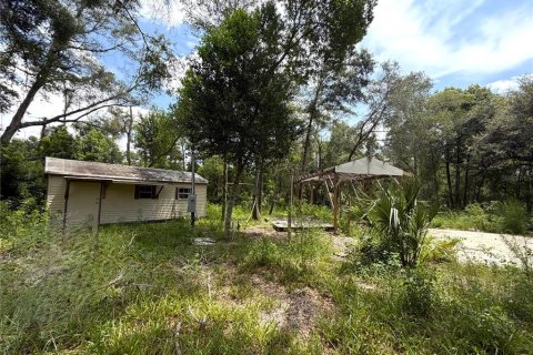 Land in Apopka, Florida № 2275514 - photo 9