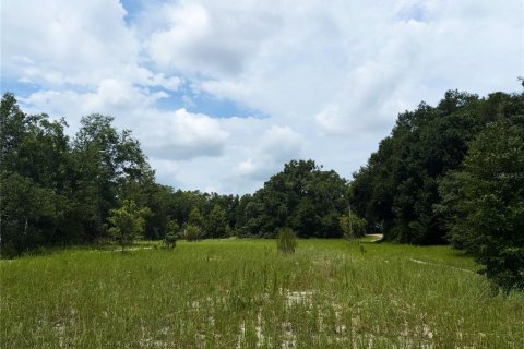 Land in Apopka, Florida № 2275514 - photo 6
