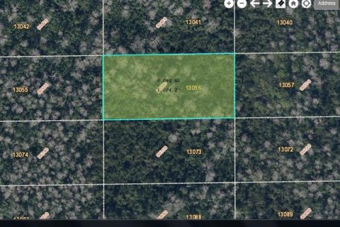 Land in Orlando, Florida № 2163608
