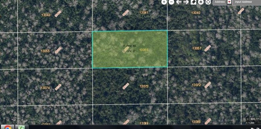 Land in Orlando, Florida № 2163608