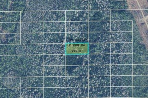 Land in Orlando, Florida № 2163608 - photo 2