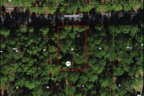 Land in Citrus Springs, Florida № 2218456