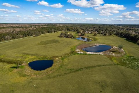 Terreno en venta en Sorrento, Florida № 2165901 - foto 10