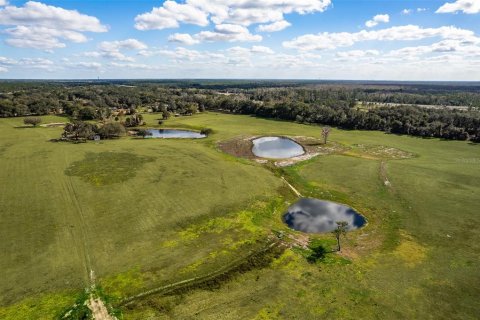 Terreno en venta en Sorrento, Florida № 2165901 - foto 9