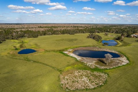 Terreno en Sorrento, Florida № 2165901