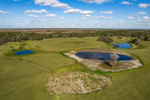 Terreno en venta en Sorrento, Florida № 2165901 - foto 13