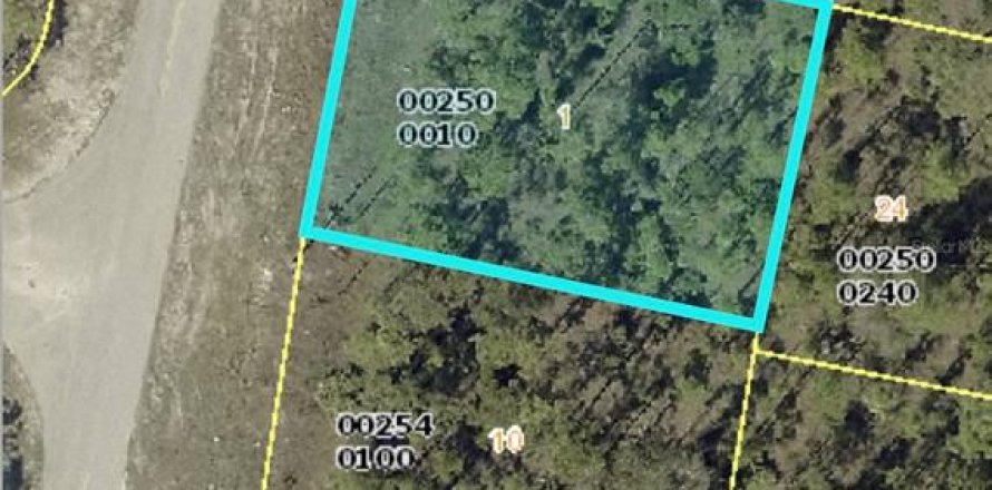Land in Lehigh Acres, Florida № 2161801
