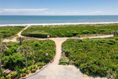 Land in Palm Coast, Florida № 1518611 - photo 8