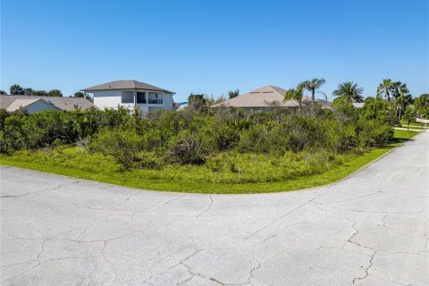 Land in Palm Coast, Florida № 1518611 - photo 10