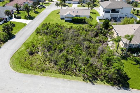 Land in Palm Coast, Florida № 1518611 - photo 5