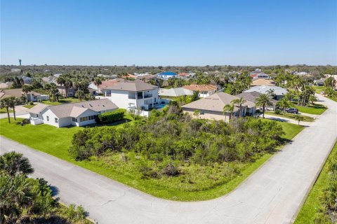 Land in Palm Coast, Florida № 1518611 - photo 2